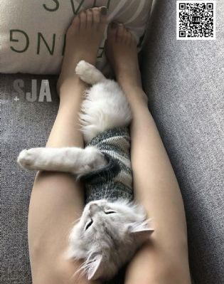 火之迷恋国语版免费观看全集