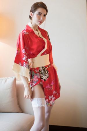 西尔维娅篇 公主恋人ova