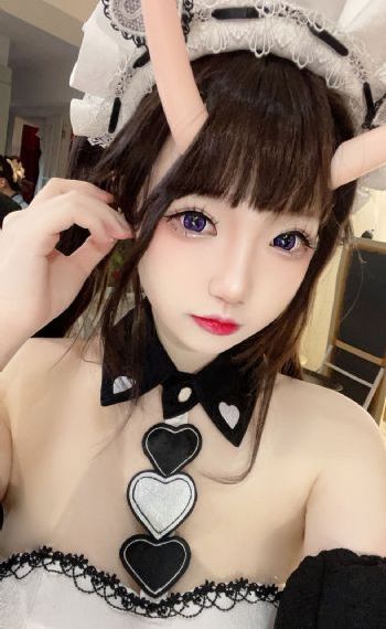 完美奴仆