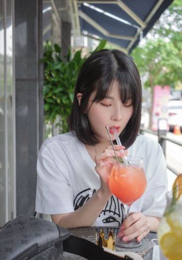细狗网页端登录入口免费版