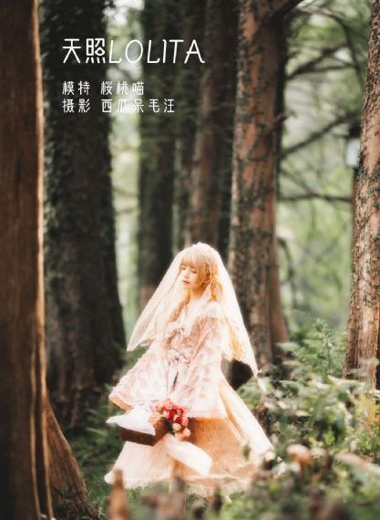 西北岁月 电视剧
